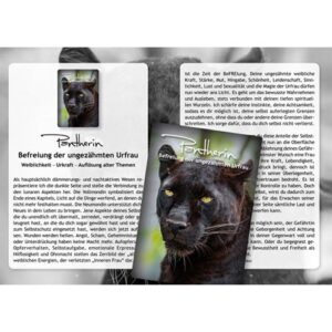 SET: Krafttiere – Geistige Helfer in Tiergestalt – Bild 3