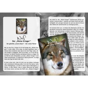 SET: Krafttiere – Geistige Helfer in Tiergestalt – Bild 4