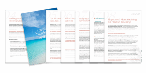 Mindset-Shifts-Workbook-Sylvia-Schmoelzer-Inhalt-2