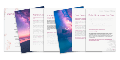SoulSync-Workbook-Sylvia-Schnmoelzer-Inhalt-1